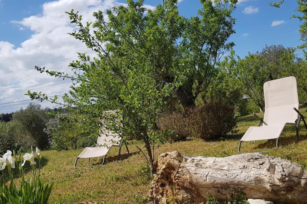 Podere Del Gelso Bianco, Vacation Rental Остуні Екстер'єр фото