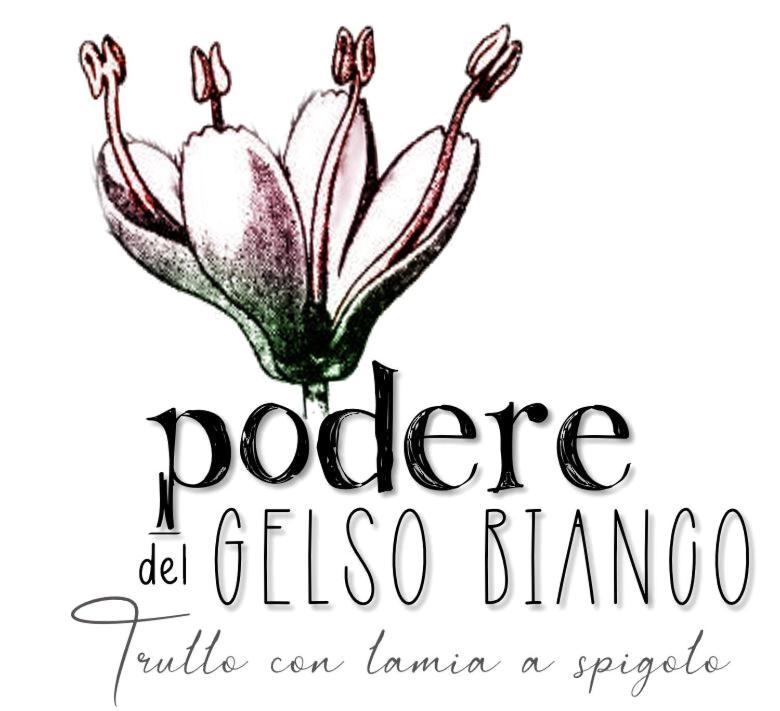 Podere Del Gelso Bianco, Vacation Rental Остуні Екстер'єр фото